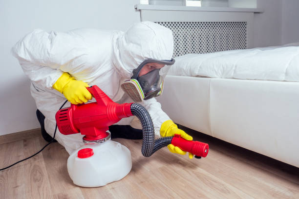 Best Residential Pest Control  in Cuero, TX